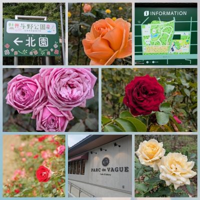 深煎りコーヒーって苦いんですね・・・