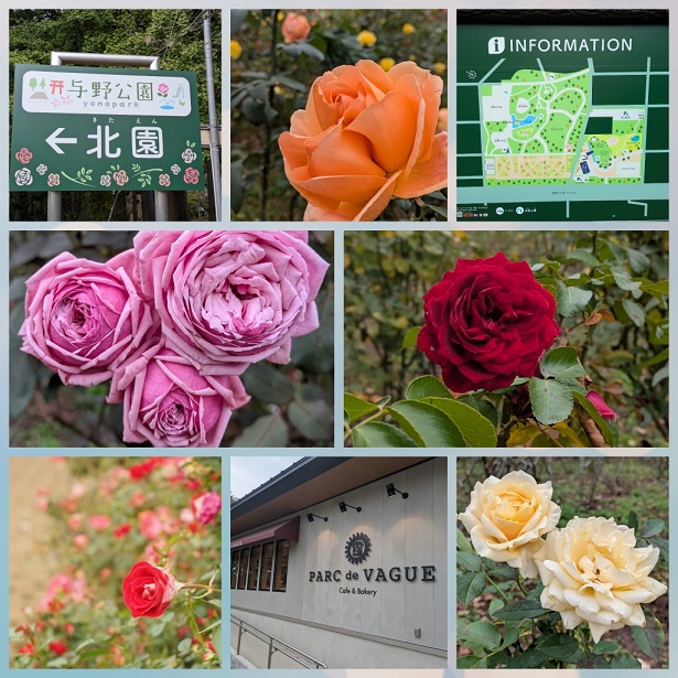 深煎りコーヒーって苦いんですね・・・