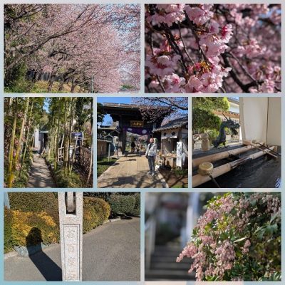 少しだけ消しゴムマジック使いました・・・